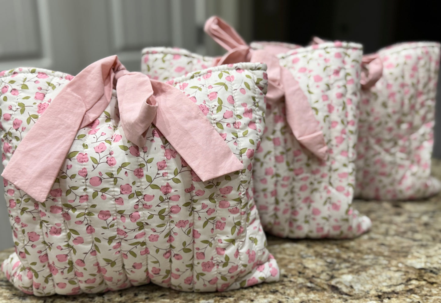 Bible Bags
